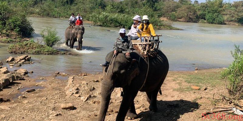 Mơ Thấy Con Voi Đánh Con Gì? Ý Nghĩa Và Con Số May Mắn 4 Mộng thấy mình cưỡi voi