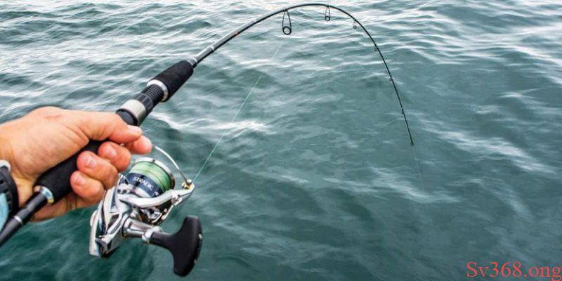 mơ thấy đi câu cá Mơ thấy đi câu thì đánh số mấy cho hên?