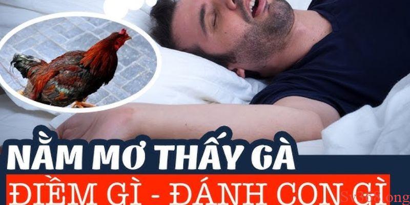 mơ thấy gà Ý nghĩa khi mơ thấy gà tốt là điềm tốt hay xấu