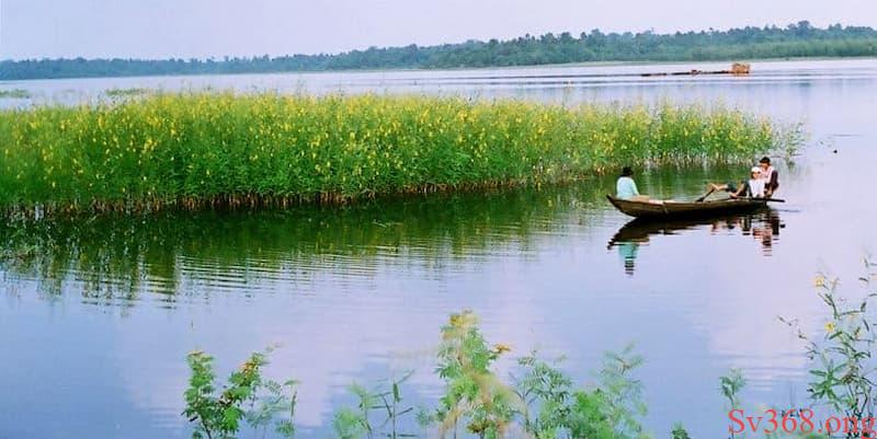 Mơ thấy sông nước Giấc mơ sông nước có nhiều cá